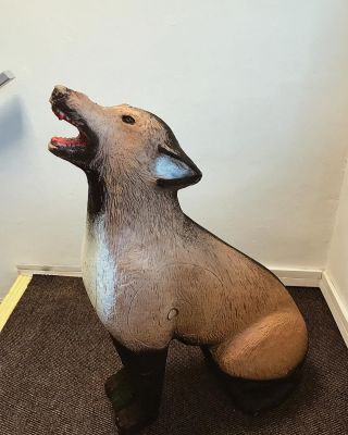 Nový 3D terč v tvare vlka práve u nás na sklade! 🐺🐺🐺 #wolf #hunter #hunterstore #3D #target #great #amazing #photoshoot...